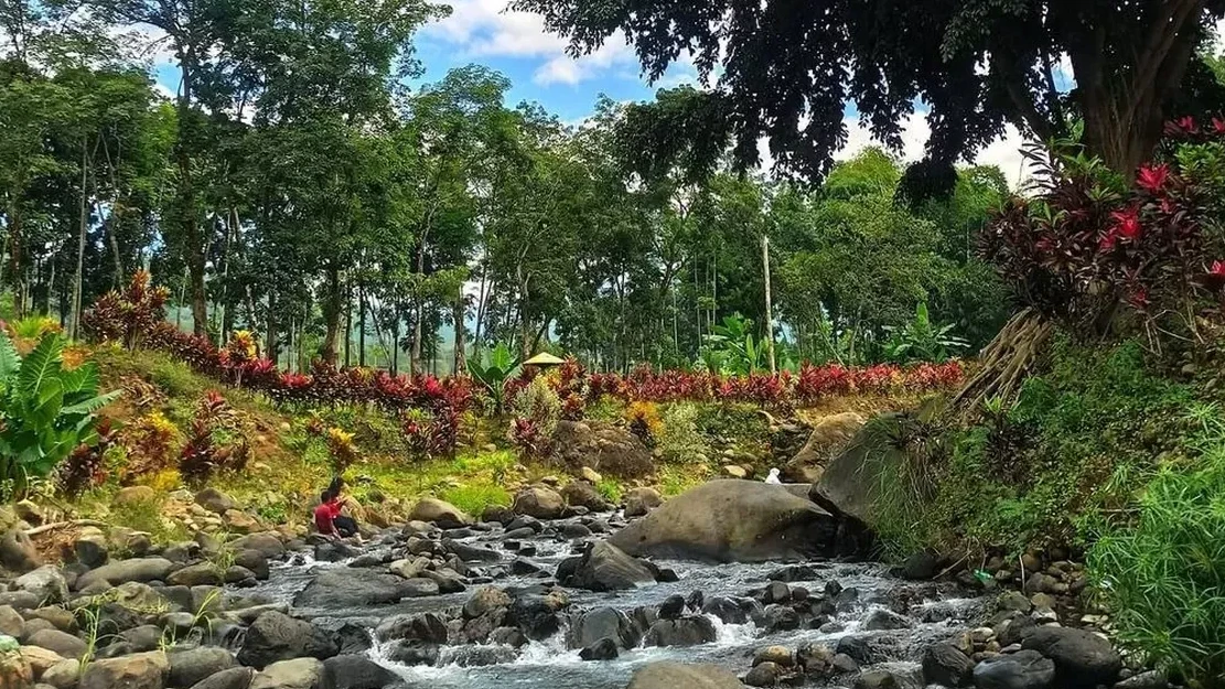 Agrowisata Boma Gunung Pasang